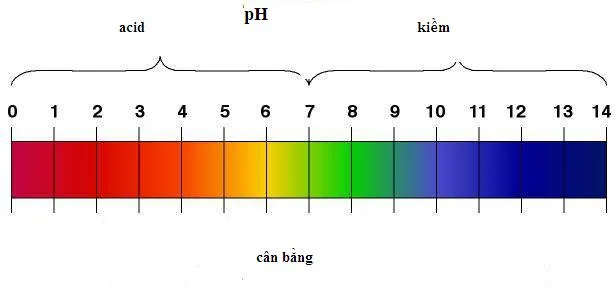 Giải pháp khắc phục 1 máy lọc nước bị nhiễm phèn, bị chua thế nào? 3