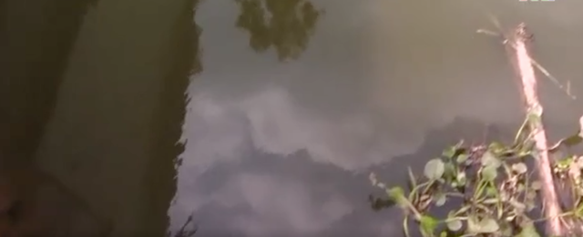 Vụ lấy nước mương thải đóng bình “tinh khiết”: Tiêu thụ cả ở 1 số trường học 2