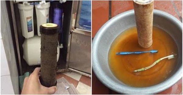 Những hiểu biết sai lầm biến máy lọc nước thành ổ bệnh, bỏ ngay kẻo hại cả nhà #1 3